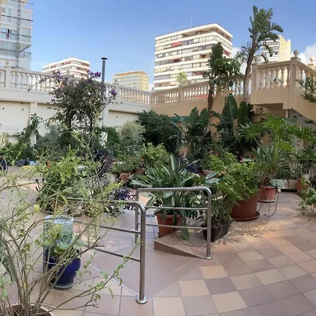 Torre Principado-fincas * Benidorm